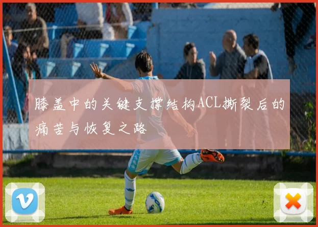 膝盖中的关键支撑结构ACL撕裂后的痛苦与恢复之路